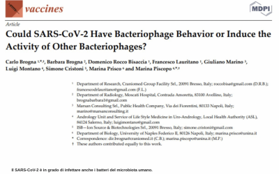 Scoperta italiana: il SARS-CoV-2 è un virus batteriofago (infetta i batteri). Nuove prospettive per cure, diagnosi e Long Covid