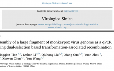 L’Istituto di virologia di Wuhan ha recentemente assemblato il genoma del virus del VAIOLO DELLE SCIMMIE. Ci risiamo?