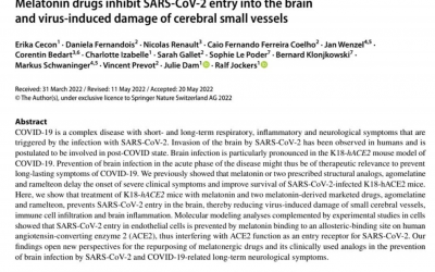 I farmaci a base di melatonina inibiscono l’ingresso del SARS-CoV-2 nel cervello e il danno indotto dal virus nei piccoli vasi cerebrali 