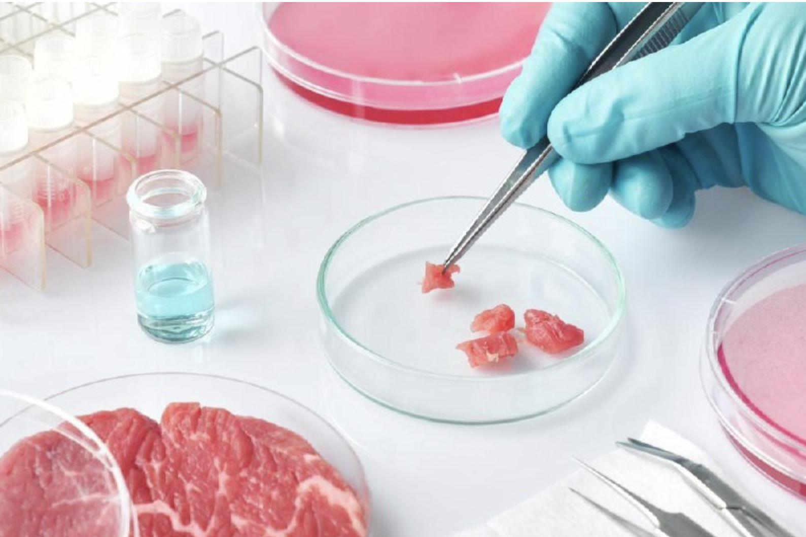 La FDA ha annunciato l’approvazione della “carne coltivata in laboratorio” dalla società UPSIDE. Indovinate chi c’è dietro ai finanziamenti di UPSIDE?